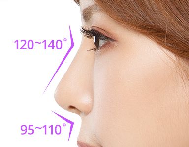 理想的な鼻先ライン