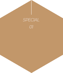 special1