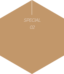 special2