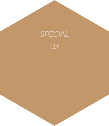 special3