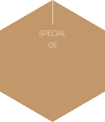 special5