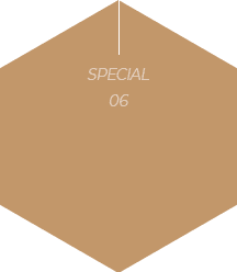 special6